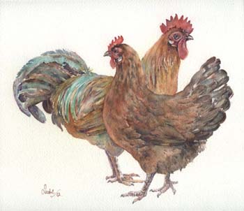 Chicken Pair